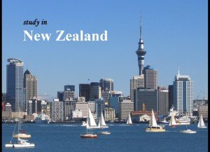 Study in NZ